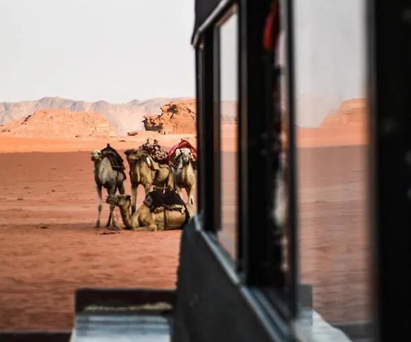Desert Shine Camp
